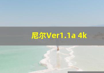 尼尔Ver1.1a 4k